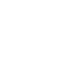 Police drone icon